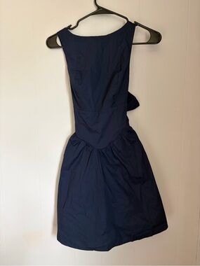 wild fable Navy Sleeveless Fit & Flare Mini Dress
